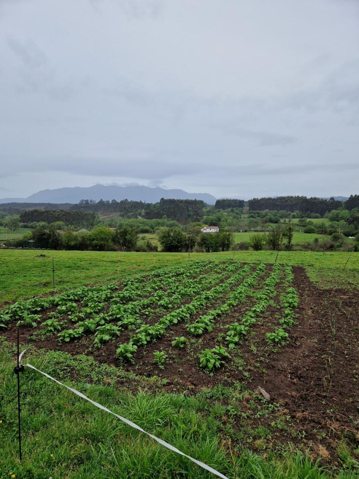 Turismo Rural El Piensu Villaviciosa  Dış mekan fotoğraf